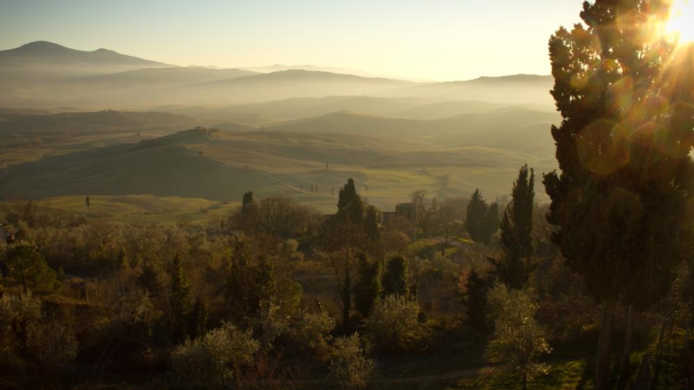Rerum vel occaecati.