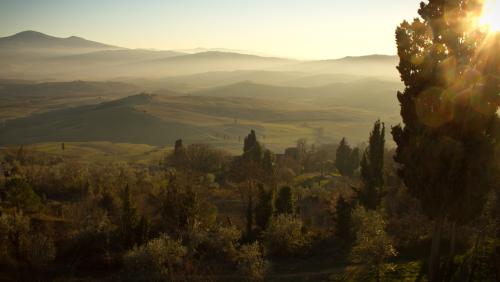 Rerum vel occaecati.